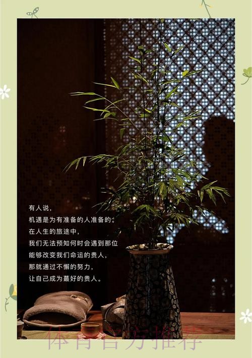 贾秀全：玫瑰绽放需要几代人努力，我一个人完成不了拼图